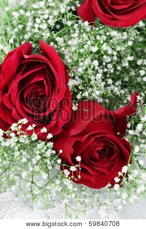 Red Roses And Babys Breath