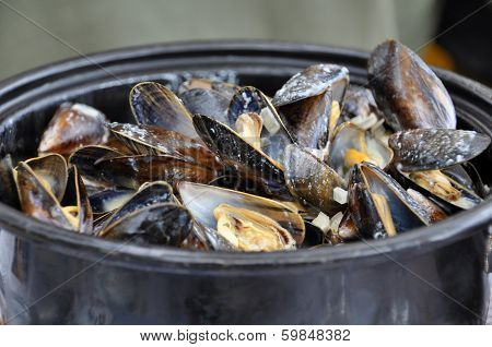 Cooked Mussels