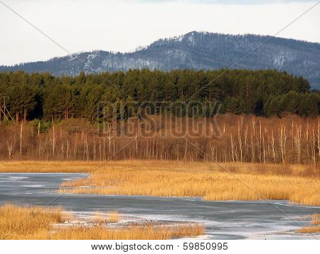 striped landscape