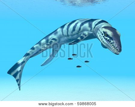 Dakosaurus