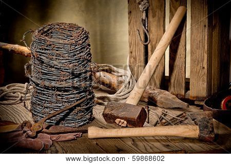 Still Life With Barbed Wire