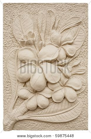 plumeria flower stucco