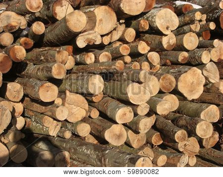 Log Pile