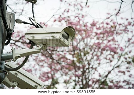 CCTV