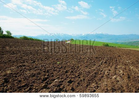 The plowed field