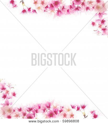 Sakura Template