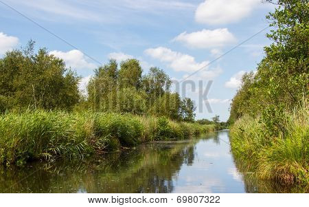 Typical View Of A The Swamp In National Park Weerribben