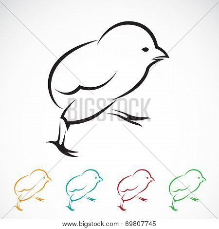 Vector Image Of An Chick