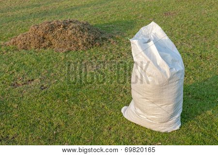 Gardening