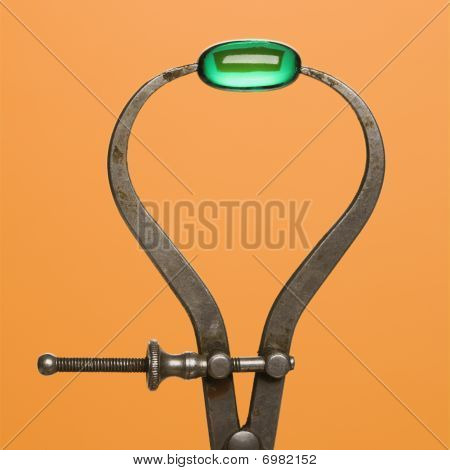 Zelená tobolka v třmenu. Izolované