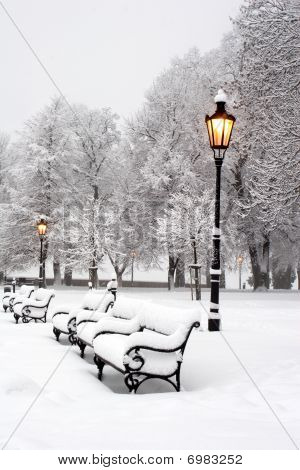 rano w winter park - Bratysława