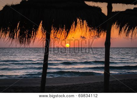 Sunrise