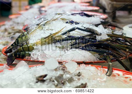 Tiger Prawns