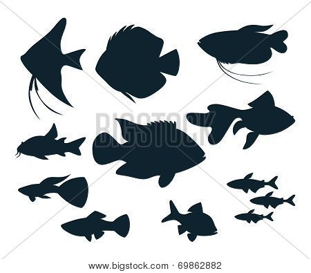 Aquarium Fish Silhouettes
