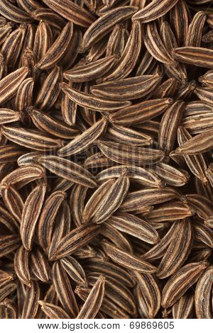 Cumin