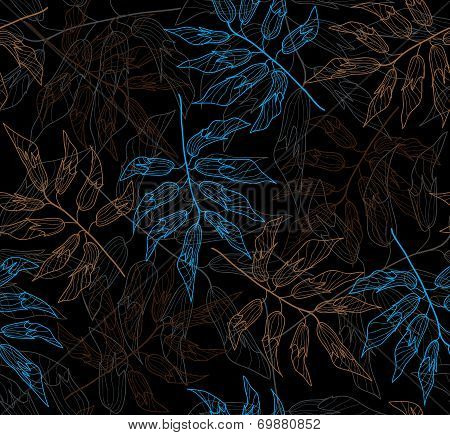 the space of plants
