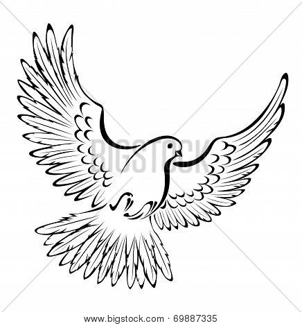 Stylized Dove