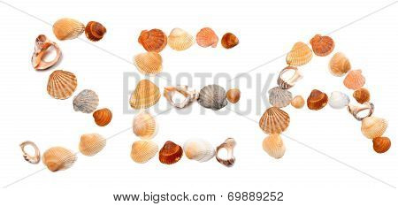 Text Sea Composed Of Seashells