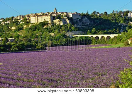 Provence Rural Landscape