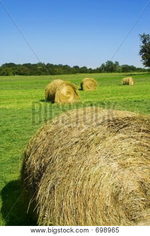 Campo con rotoli di fieno