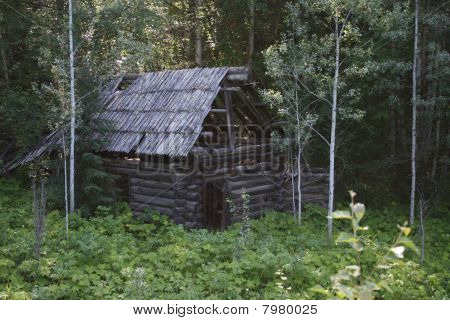 staré zapomenuté kabina