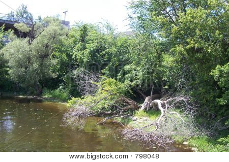 Natur und Wasser