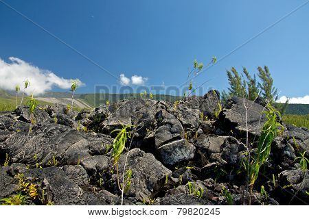 Lava Eruption, Reunion island