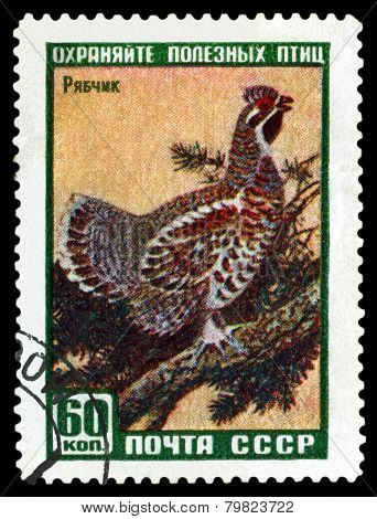 Vintage  Postage Stamp. Grouse.