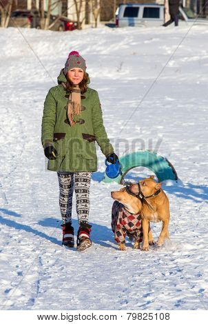 Young Woman Walking With Two American Pit Bull Terrier Winter