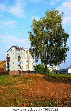 Autumn Coming To The Vilnius City Pasilaiciai District