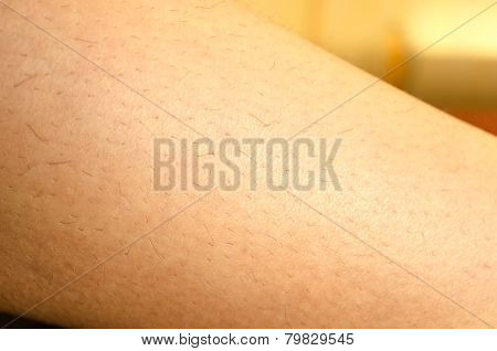 One Woman Hairy Leg