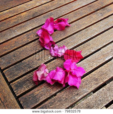 Letter S Of  Petals