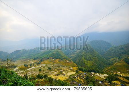 Landscape