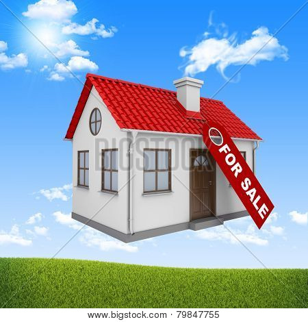 Model house with tag For sale
