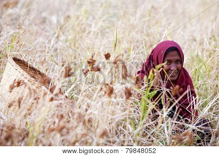 Nepalese woman