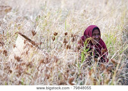 Nepalese woman