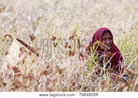 Nepalese woman