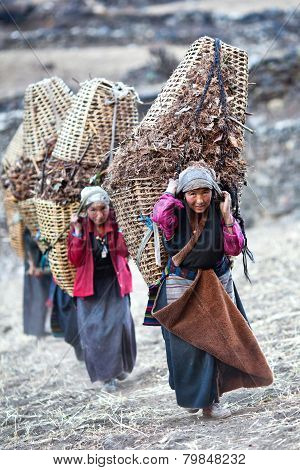 Tibetan women in Nepal