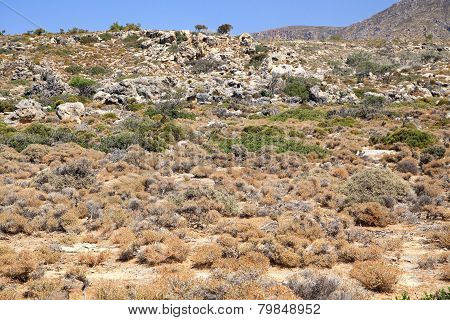 Nature At Creta Island