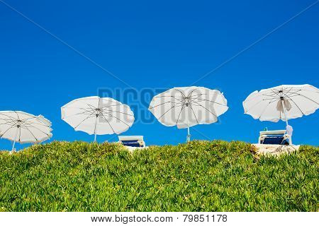 White sun beach umbrellas (parasol)