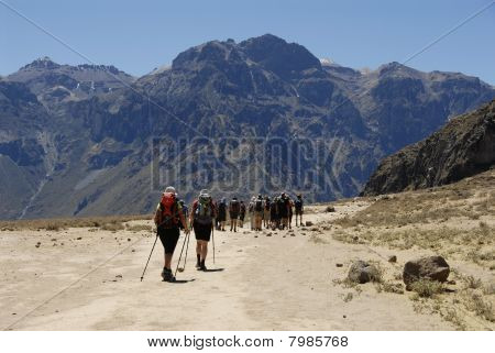 Colca Canyon