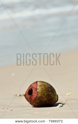 kokos