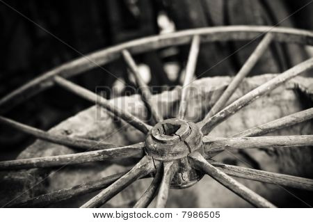 Cart Wheel