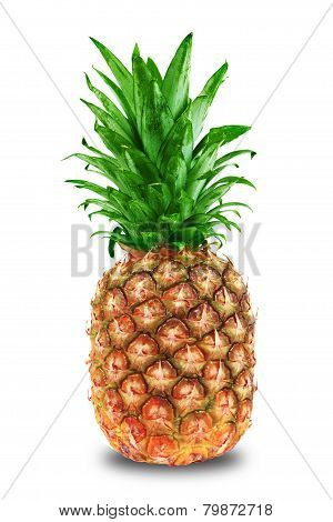 Pineapple