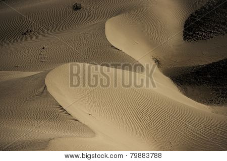 Sand Dune in Nubra Valley