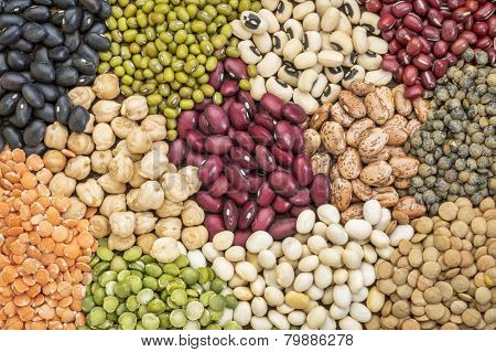 legume abstract - top view of a variety of colorful bean, lentil and pea