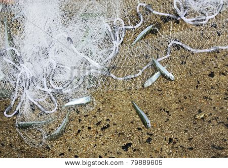 Fishing Net And Bait