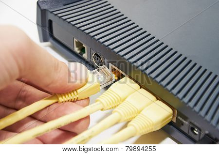 Connect The Cable To The Network Switch