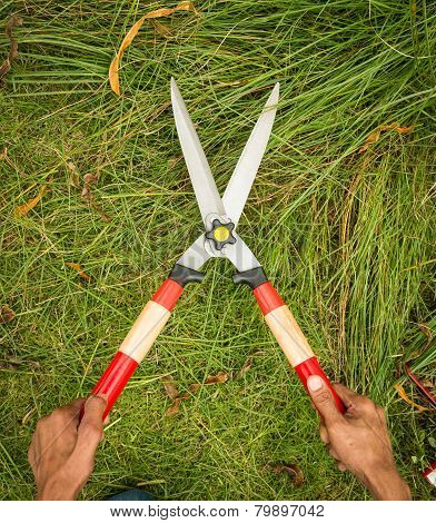 Person Cutting Grass By Grass Shear