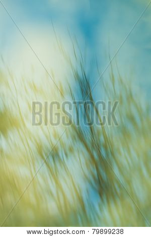 Backgrounds green